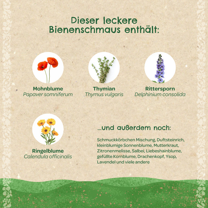 Alt="Grafik mit verschiedenen bienenfreundlichen Pflanzen: Mohnblume (Papaver somniferum), Thymian (Thymus vulgaris), Rittersporn (Delphinium consolida) und Ringelblume (Calendula officinalis). Dazu eine Liste weiterer enthaltenen Pflanzenarten."