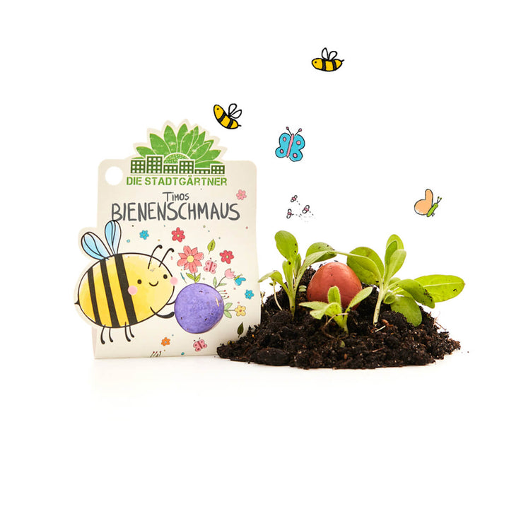 Pflanzset mit Samen, Erde und Keimlingen, dekoriert mit einer bunten Zeichnung einer Biene, Blumen und Schmetterlingen; Schriftzug „Die Stadtgärtner - Timos Bienenschmaus“.