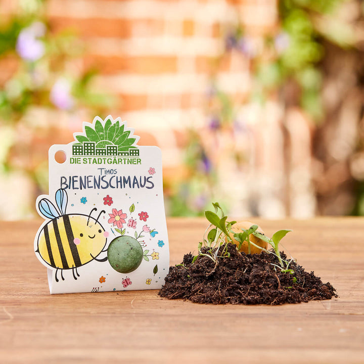 Päckchen mit der Aufschrift „Die Stadtgärtner Timos Bienenschmaus“ und einer gezeichneten Biene neben einem kleinen Haufen Erde mit jungen Pflänzchen auf einem Holztisch.