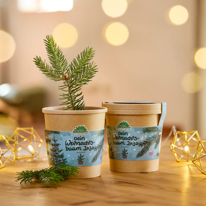 Zwei braune Pflanztöpfe mit Aufschrift "Dein Weihnachtsbaum 2030", einer mit einem kleinen Tannenzweig, auf einem Holztisch mit Lichterkette im Hintergrund.