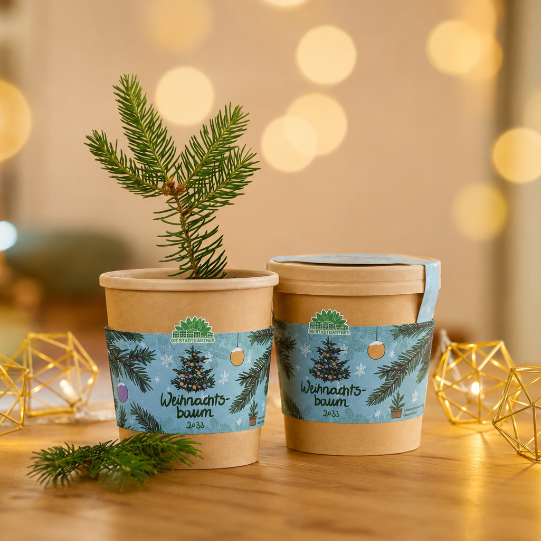 Kerstboom 2030 uit de beker