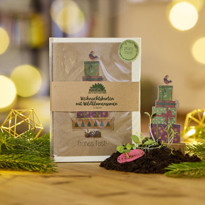 Weihnachtskarten-Set mit Wildblumensamen, Geschenkmotiven und kleiner Pflanze auf Erde, umgeben von Tannenzweigen, im weihnachtlich dekorierten Raum.