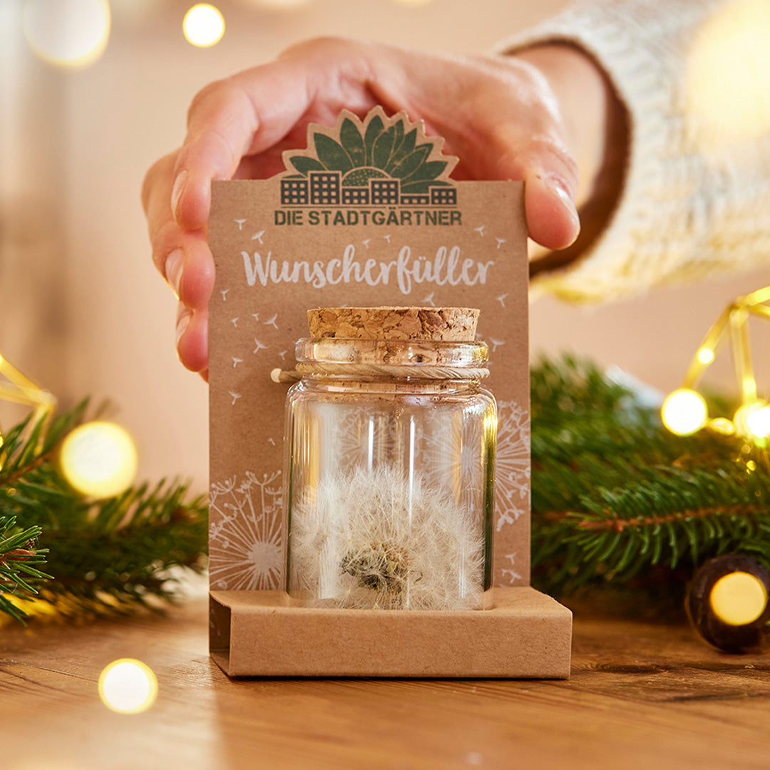 Eine Hand hält ein Glasfläschchen mit Pusteblumenwünschen, dekorativ verpackt mit der Aufschrift "Wunscherfüller" von Die Stadtgärtner; im Hintergrund sind weihnachtliche Lichter und Tannenzweige.