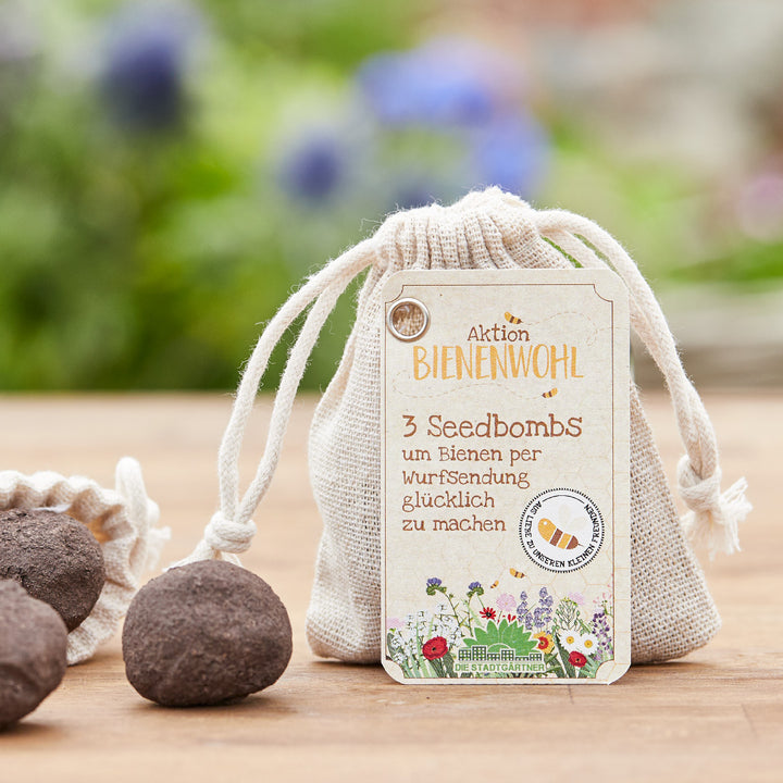 Seedbombs 3er Bienenwohl - Samenbomben für Bienen