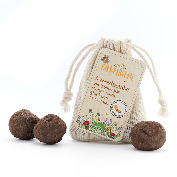3 Seedbombs mir Wildblumensamen für Bienen