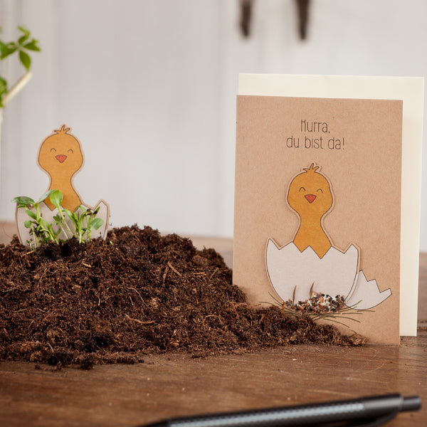 Lustige Glückwunschkarte mit Küken-Motiven und dem Text "Hurra, du bist da!", platziert auf einem Haufen Erde.