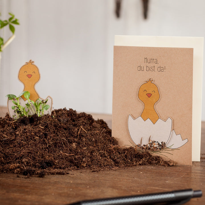 Lustige Glückwunschkarte mit Küken-Motiven und dem Text "Hurra, du bist da!", platziert auf einem Haufen Erde.