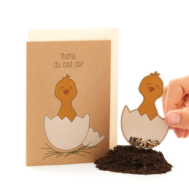 Grußkarte mit gezeichnetem Küken im Ei und der Aufschrift "Hurra, du bist da!", daneben eine Hand, die eine ähnliche Kükenfigur in Erde steckt.