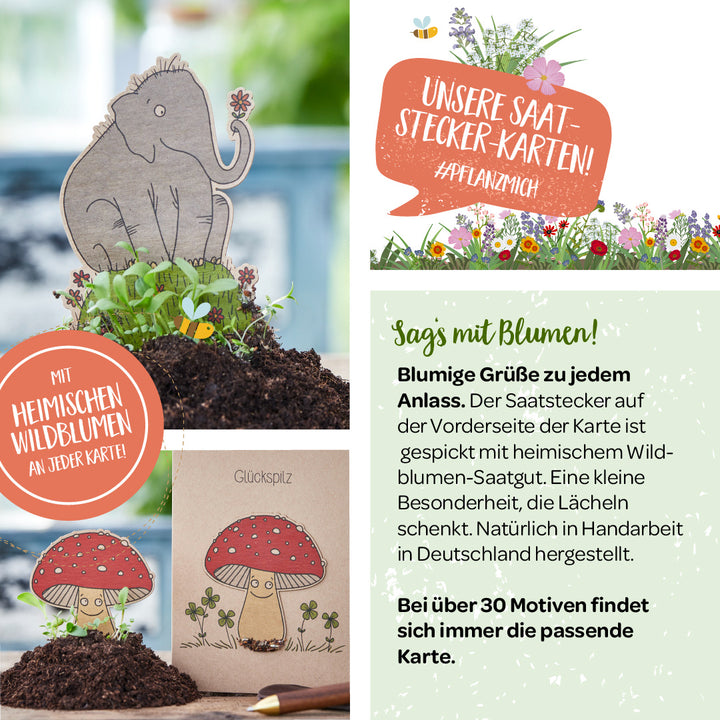 Ein Bild mit Saatstecker-Karten, darunter ein Elefant und ein Fliegenpilz als Pflanzenstecker in Erde, dazu Text über heimische Wildblumen und handgefertigte Grußkarten aus Deutschland.
