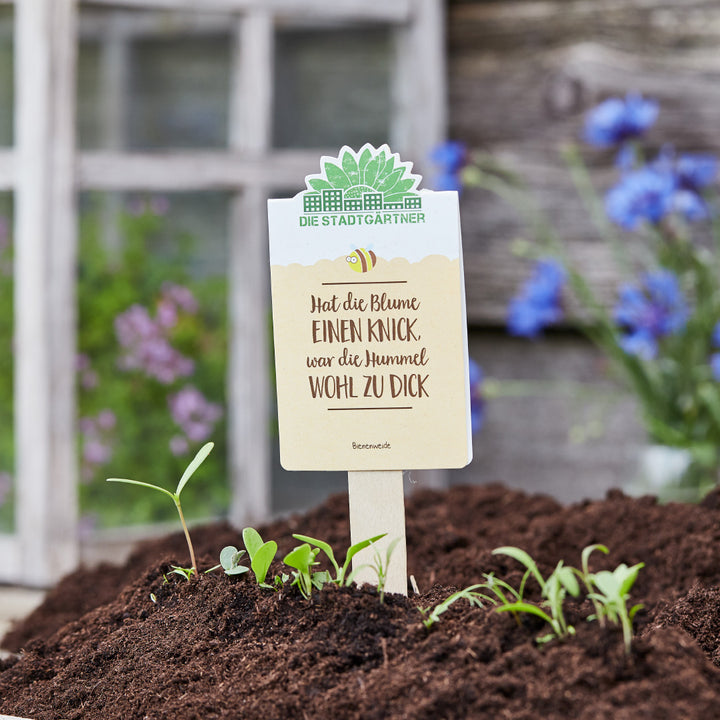 Gartensteckschild mit Spruch "Hat die Blume einen Knick, war die Hummel wohl zu dick" in einem Beet mit jungen Pflanzen.