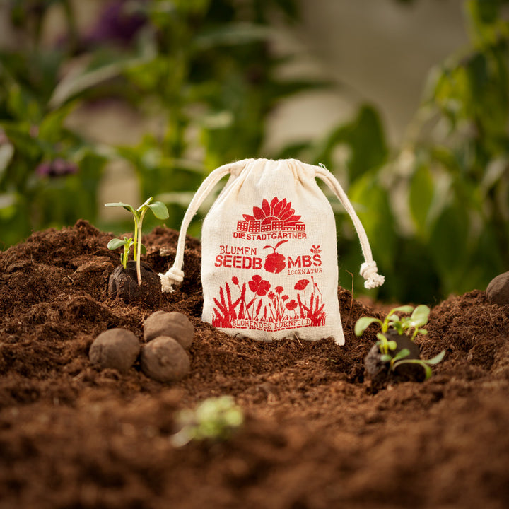 Keimende Pflanzen und Seedbombs neben einem Stoffbeutel mit Aufdruck auf fruchtbarer Erde.