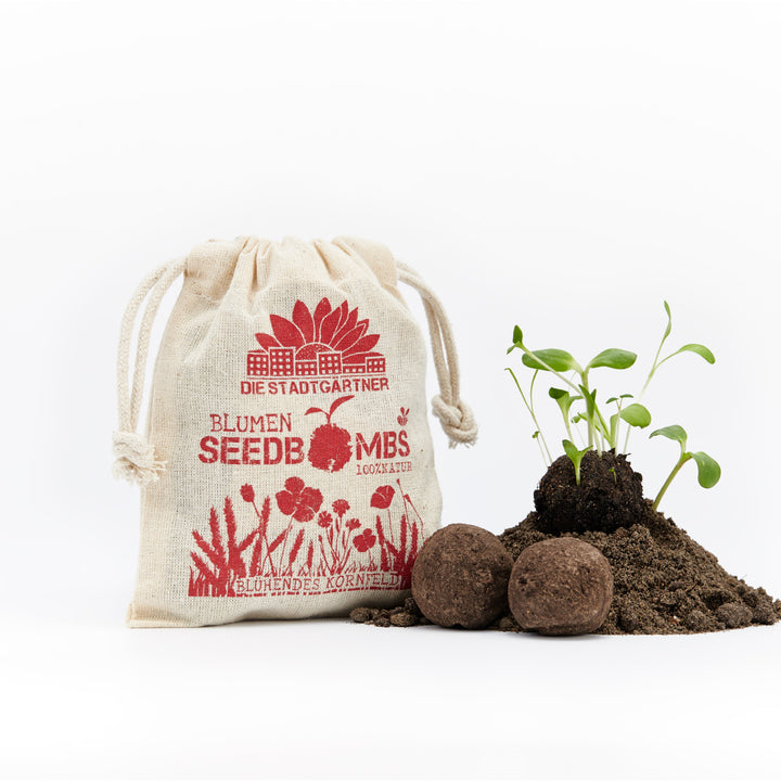 Leinensäckchen mit Aufdruck 'Blumensamen' neben keimenden Pflanzen und Samenbomben auf weißem Hintergrund.