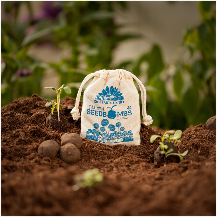 Samentüte "Seedbombs" der Stadtgärtner auf fruchtbarer Erde mit Keimlingen und Blumenerde.