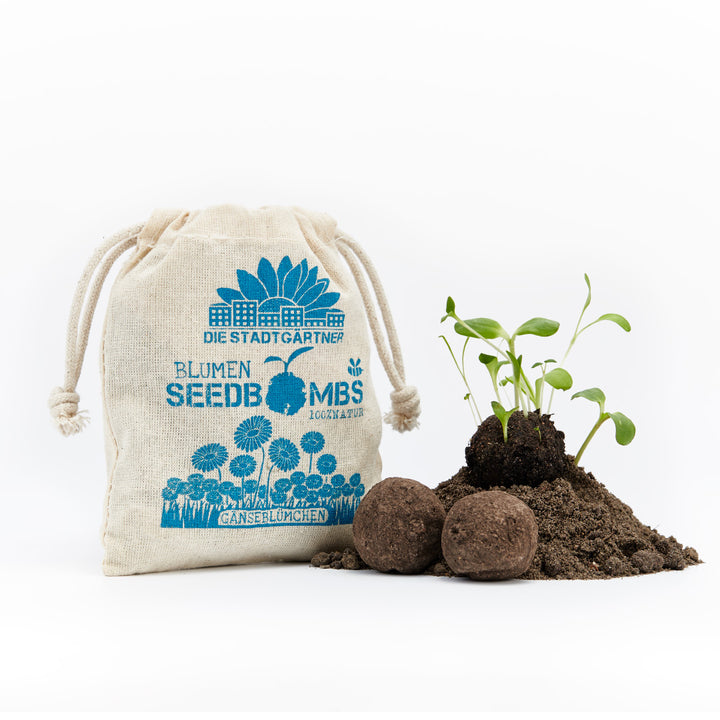 Sämlinge wachsen aus einem Hügel Erde neben Saatbomben und einem Sack mit der Aufschrift "DIE STADTGÄRTNER BLUMEN SEEDBOMBS 100% NATUR GÄNSEBLÜMCHEN".