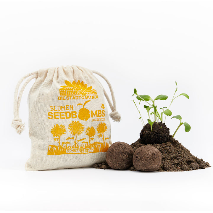Ein Säckchen mit der Aufschrift "BLUMEN SEEDBOMBS SONNENBLUMEN" neben Keimlingen und Samenbomben auf Erde.