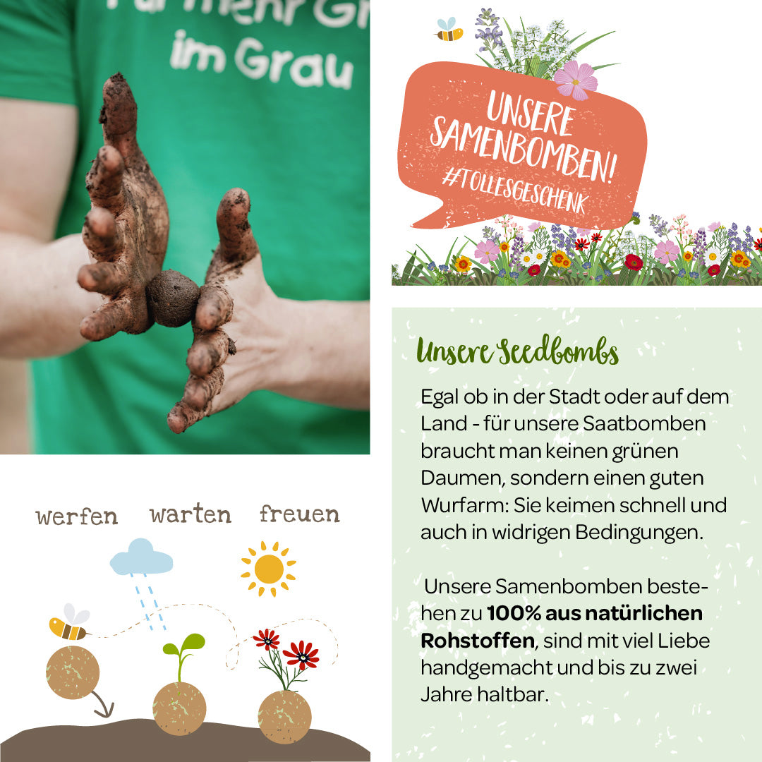 Person hält Seedbombs in der Hand, umgeben von Werbematerial für Saatbomben mit Anweisungen und Vorteilen.