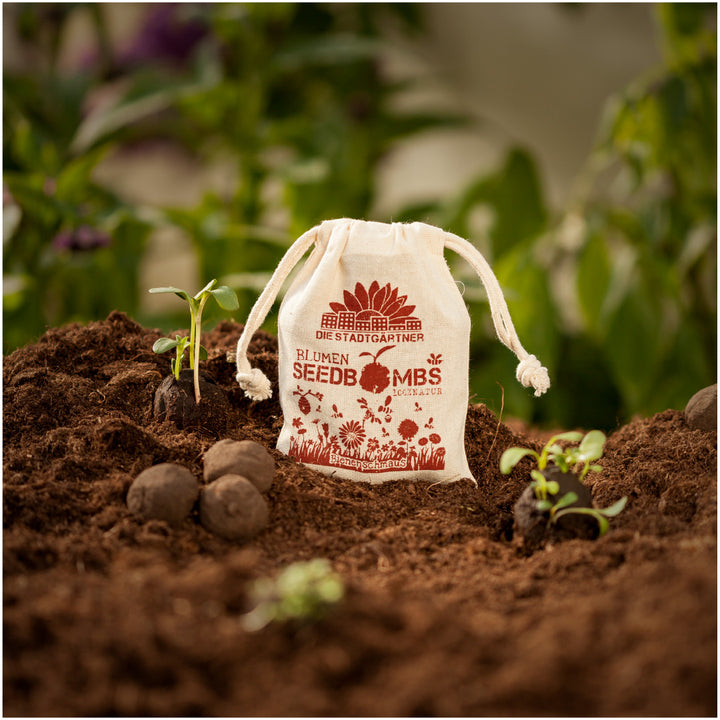 Ein Säckchen mit der Aufschrift "Blumen Seedbombs" auf fruchtbarer Erde neben Keimlingen und Samenbomben.