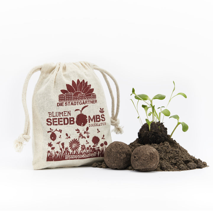 Jutesäckchen mit Aufdruck 'Die Stadtgärtner Blumen Seedbombs', daneben Keimlinge und Erdballen auf weißem Hintergrund