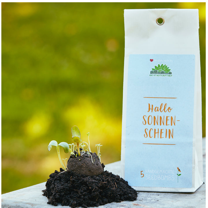 Keimende Samenbomben neben Verpackung mit Aufschrift 'Hallo Sonnenschein'