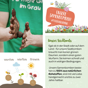 "Person hält Samenbomben über einem Flyer für urbanes Gärtnern mit Anleitung und Vorteilen."