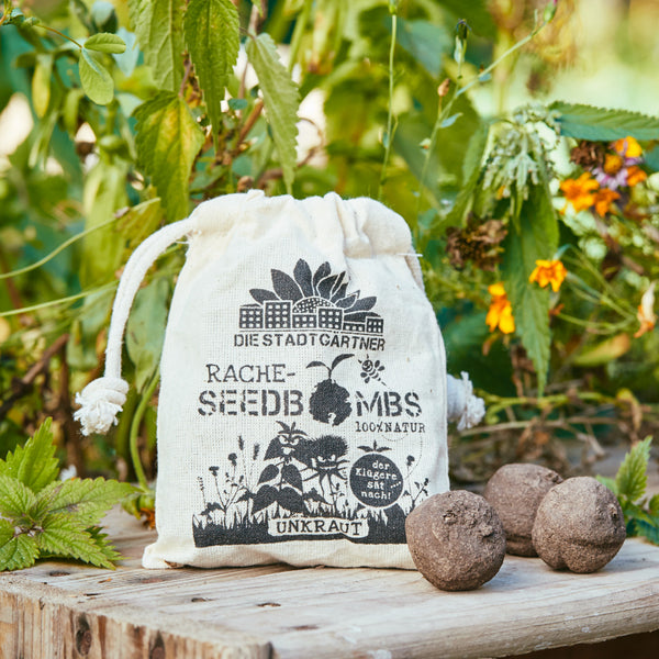Stoffbeutel mit Aufschrift 'Die Stadtgärtner Seedbombs' neben drei Samenbomben auf einem Holzbrett, umgeben von Grünzeug.