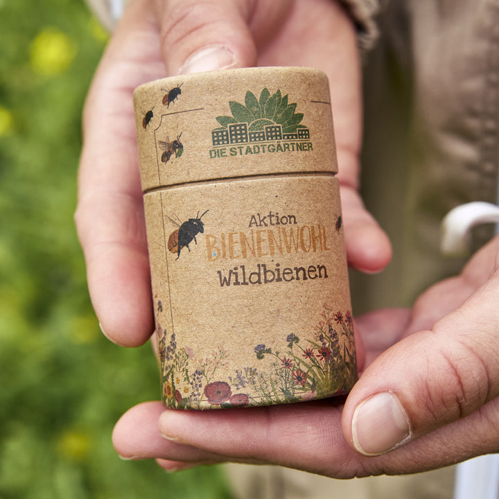 Eine Hand hält eine braune Pappdose mit der Aufschrift "Aktion Bienenwohl Wildbienen" und einer Illustration von Wildblumen und Bienen.