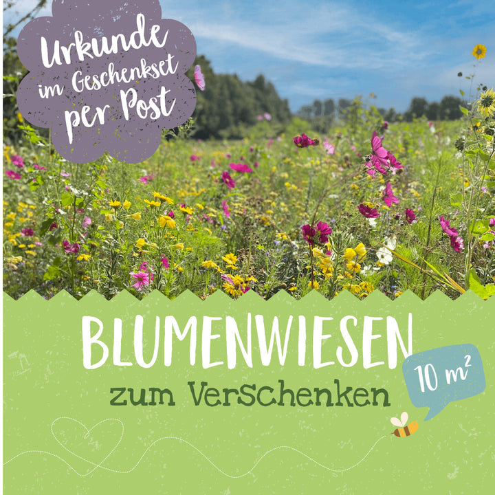 Blühende Blumenwiese mit bunten Blumen, Text "Urkunde im Geschenkset per Post" und "Blumenwiesen zum Verschenken, 10 m²".