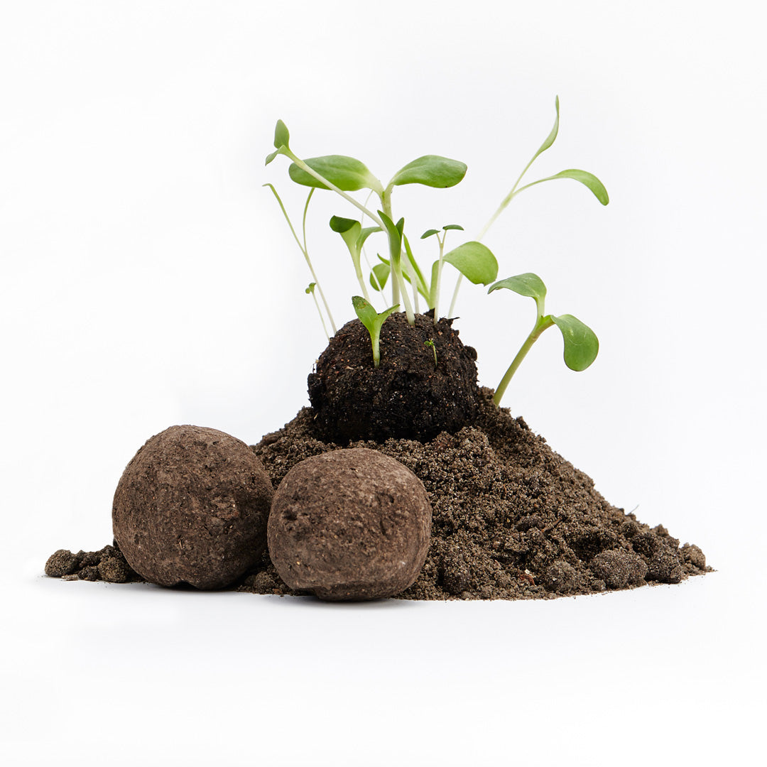 Vanaf 50 losse en uitgepakte wilde bloemenzaadbommen I Losse zaadbommen als huwelijksgeschenk I Zaadbommen van Die Stadtgärtner