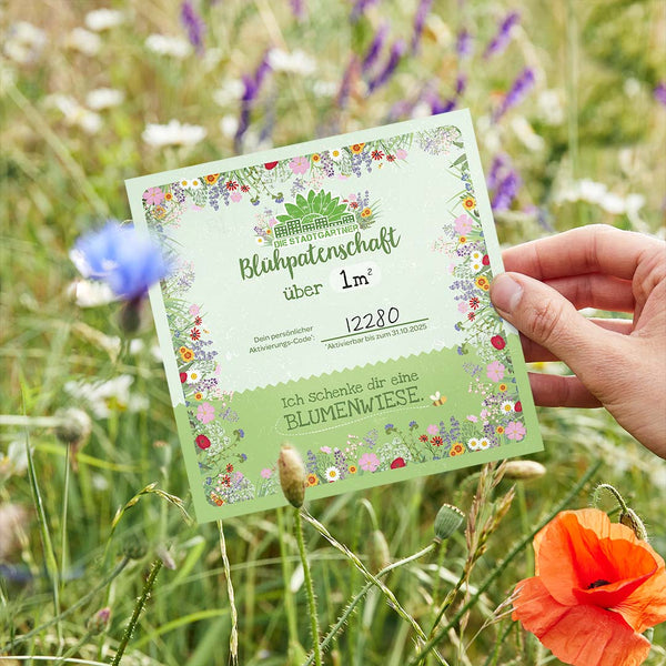 Bloemenweide-adoptie