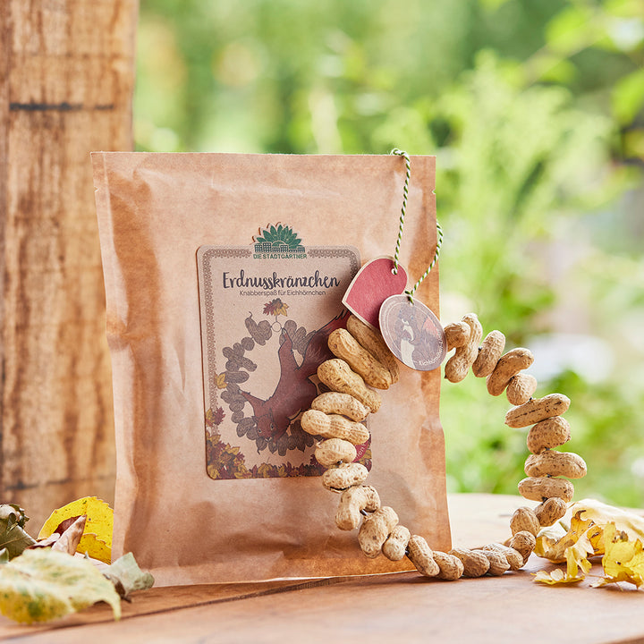 Braune Papiertüte mit der Aufschrift „Erdnusskränzchen – Knabberspaß für Eichhörnchen“ sowie ein Kranz aus Erdnüssen auf einem Holztisch im Freien.