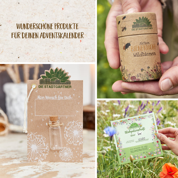 "Collage von umweltfreundlichen Produkten, darunter eine Karte, Saatguttütchen und ein Glücksbringer, mit Texten auf Deutsch über Nachhaltigkeit und Natur."
