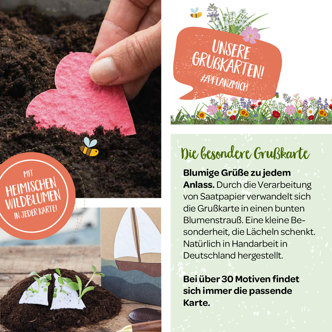 Werbebild für Grußkarten mit Saatpapier, die in Blumensträuße wachsen, mit einer pflanzbaren Karte in Herzform, Informationstexten und Wildblumensymbolen.