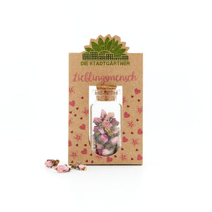 Lieblingsmensch - Geschenk für Freundin